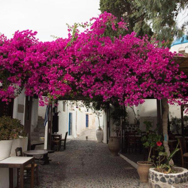 Villa Orpheus Santorini Megalochori  Buitenkant foto
